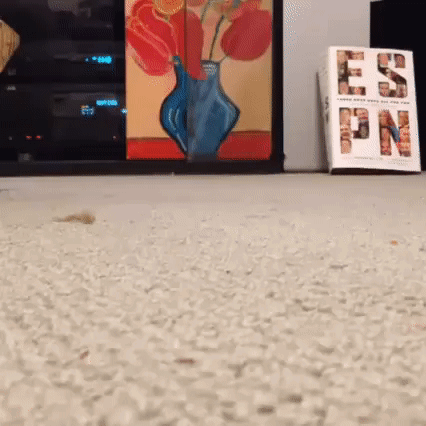 A Vase Of Flowers Is Sitting On A Carpet Next To A Book That Says Nct GIF