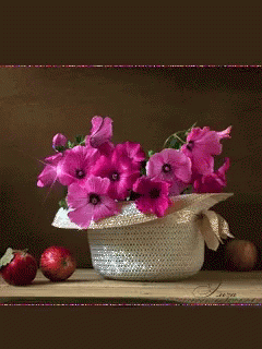 A Vase Of Pink Flowers Sits On A Table With Apples GIF