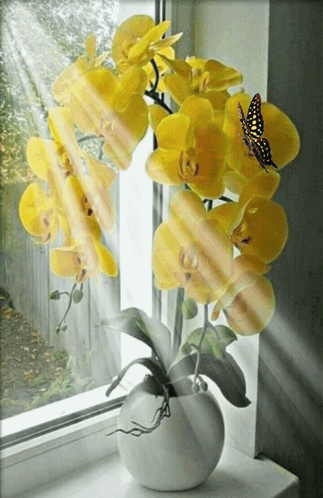 A Vase Of Yellow Flowers Sits On A Window Sill With The Sun Shining Through It GIF