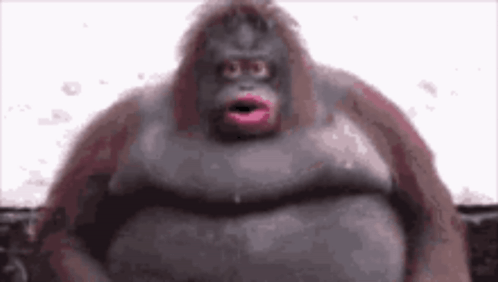 A Very Fat Monkey With Pink Lips Is Standing In Front Of A White Wall . GIF