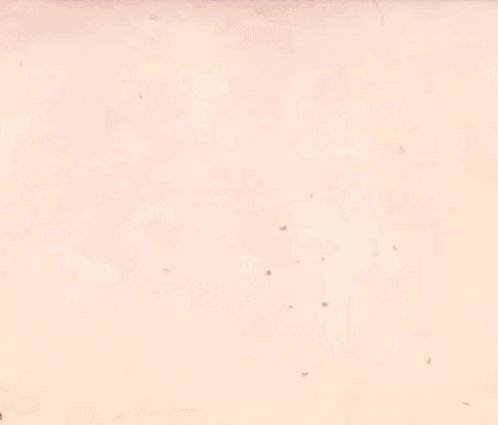 A Video Game Character Is Holding A Gun And The Word Kisse Is Above Her Head GIF