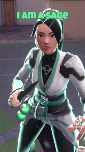 A Video Game Character Is Holding A Sword And Says `` I Am A Sage '' While Standing On A Street . GIF
