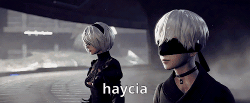 A Video Game Character With The Name Haycia On The Bottom Right GIF
