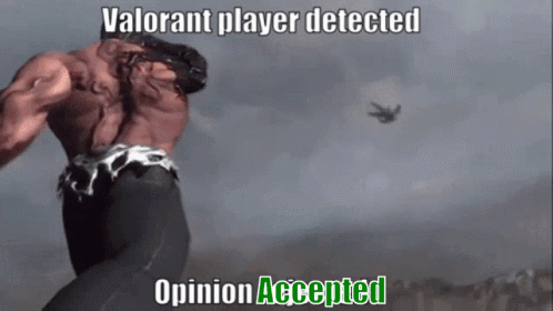 Valorant Player Detected Opinion Accepted GIF