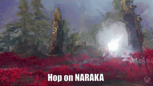 a video game scene that says hop on naraka