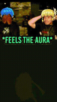 A Video Game Screen That Says Feels The Aura On The Top GIF