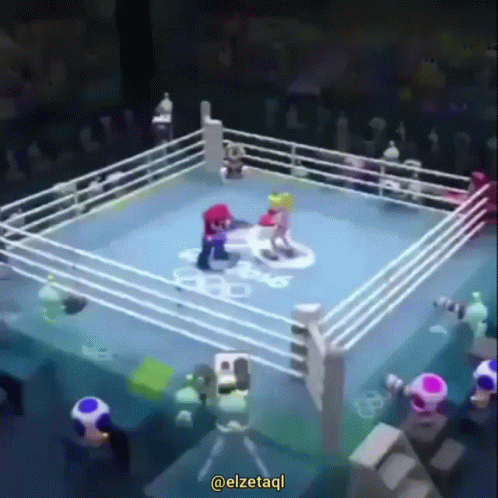 A Video Game Shows Mario And Luigi Fighting In A Boxing Ring .. GIF