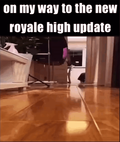 A Video Of A Cat Walking On A Wooden Floor With The Caption On My Way To The New Royale High Update . GIF