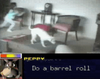 A Video Of A Dog Playing A Video Game With The Words " Do A Barrel Roll " GIF