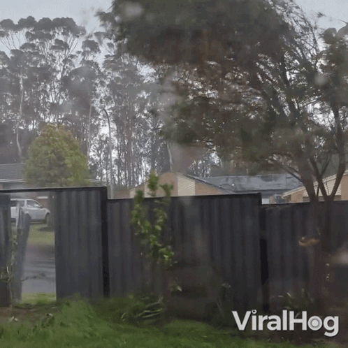 A Video Of A Fence With The Words Viralhog Written On The Bottom GIF