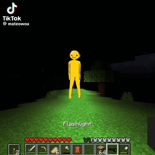 A Video Of A Flashlight Being Used In A Minecraft Game GIF