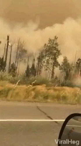 A Video Of A Forest Fire Is Being Shared By Viralhog GIF