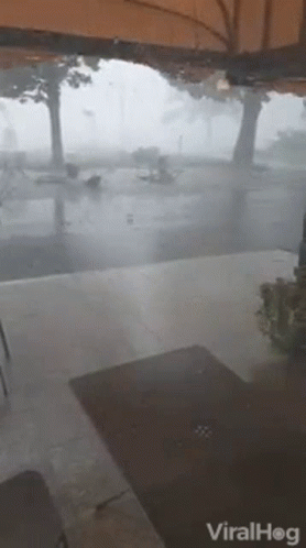 A Video Of A Hurricane Is Being Shared On Viralhog GIF