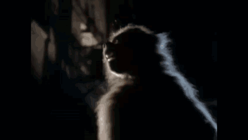 A Video Of A Man Sitting On A Staircase With The Words Let That Rabid Monkey Die Quietly If It GIF