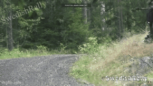 A Video Of A Swedish Rally Is Being Displayed On A Screen GIF