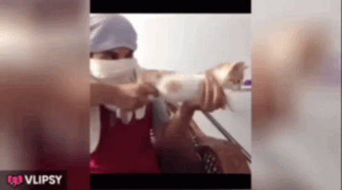 A Video Of A Woman Holding A Cat With The Words Vlipsy On The Bottom Right GIF