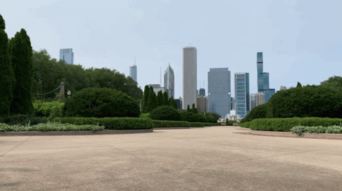 A View Of A City Skyline From A Park With Trees In The Foreground GIF