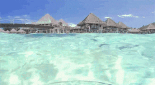 A View Of A Tropical Island From The Water With Thatched Houses In The Background GIF