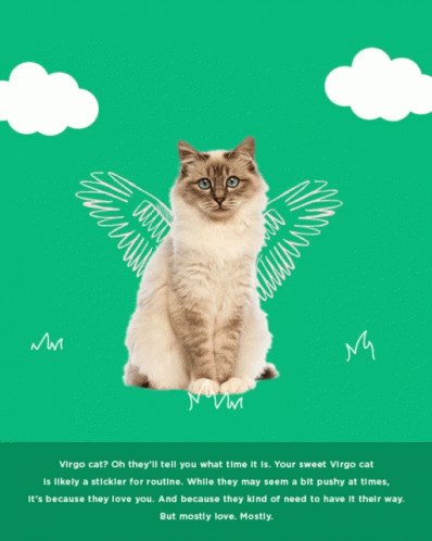 a virgo cat with wings is on a green poster