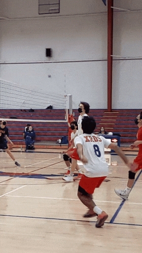 A Volleyball Player With The Number 8 On His Back GIF