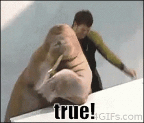 A Walrus Is Being Held By A Man And The Words True Are On The Bottom Of The Image GIF