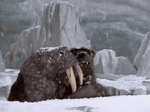 A Walrus Is Laying In The Snow With A Mountain In The Background GIF