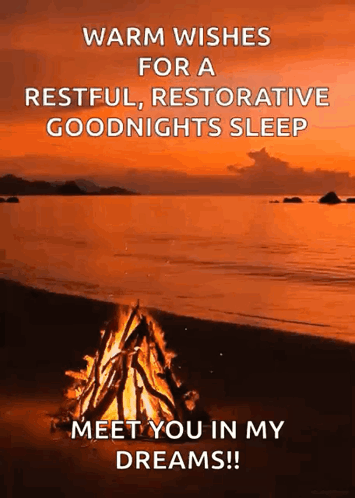 A Warm Wishes For A Restful , Restorative Goodnight Sleep Meet You In My Dreams ! GIF