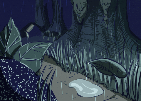 A Water Reflection Portal GIF