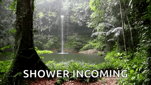 A Waterfall In A Lush Green Forest With The Words Shower Incoming GIF