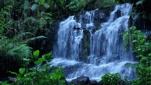 A Waterfall In The Middle Of A Forest With Birds Flying Around It GIF