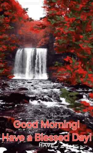 A Waterfall In The Middle Of A Forest With Red Leaves On The Trees GIF
