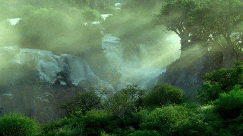 A Waterfall In The Middle Of A Forest With The Sun Shining Through The Fog GIF