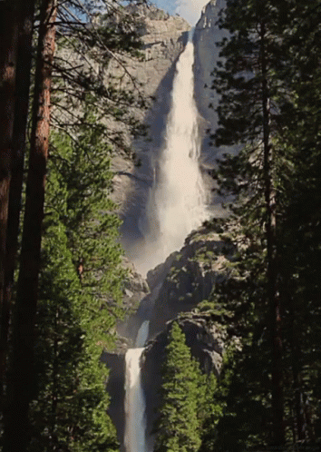 A Waterfall In The Middle Of A Forest With Trees Surrounding It GIF