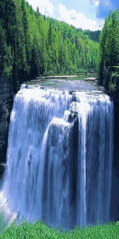 A Waterfall In The Middle Of A Forest With Trees Surrounding It GIF
