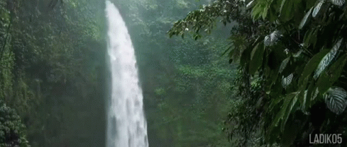 A Waterfall In The Middle Of A Lush Green Forest . GIF