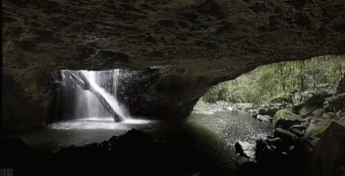 A Waterfall Is Coming Out Of A Cave In The Woods GIF
