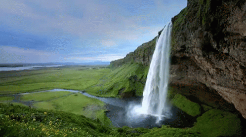A Waterfall Is Surrounded By Greenery And Grass GIF