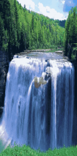 A Waterfall Is Surrounded By Trees And A Bird Is Flying Over It GIF