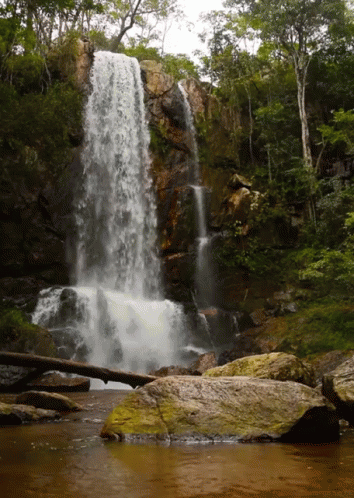 A Waterfall Is Surrounded By Trees And Rocks In A Forest GIF
