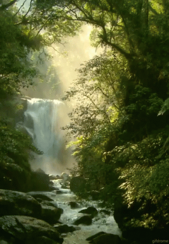 A Waterfall Is Surrounded By Trees And Rocks In A Gif From Gifdrome GIF