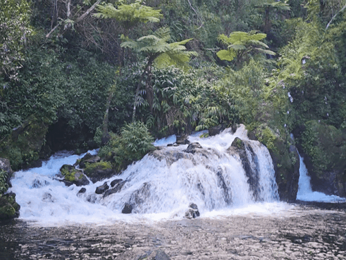 A Waterfall Is Surrounded By Trees And Rocks In A Lush Green Forest GIF