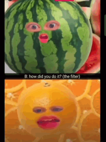 A Watermelon And An Orange With Faces On Them GIF