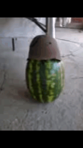 A Watermelon With A Helmet On It GIF