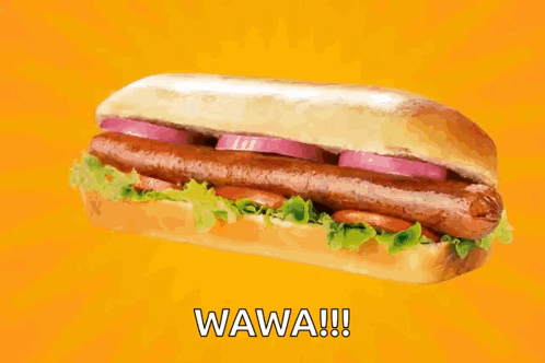 A Wawa Sandwich With Lettuce Tomatoes And Onions GIF