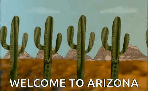 A Welcome To Arizona Sign With Cactus And Mountains GIF