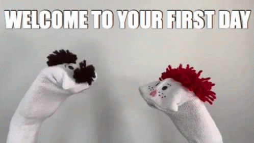 A Welcome To Your First Day Greeting With Two Sock Puppets GIF