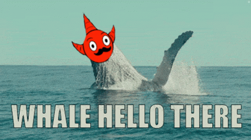 A Whale Is Jumping Out Of The Water With The Words Whale Hello There GIF