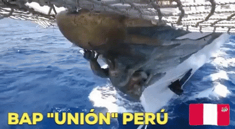 A Whale Is Swimming In The Ocean And The Words Bap Union Peru Are Above It GIF