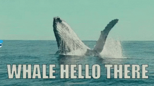 a whale jumping out of the water with the words whale hello there