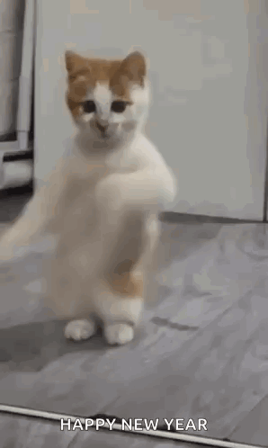 A White And Orange Cat Is Dancing In Front Of A Mirror And Says Happy New Year . GIF